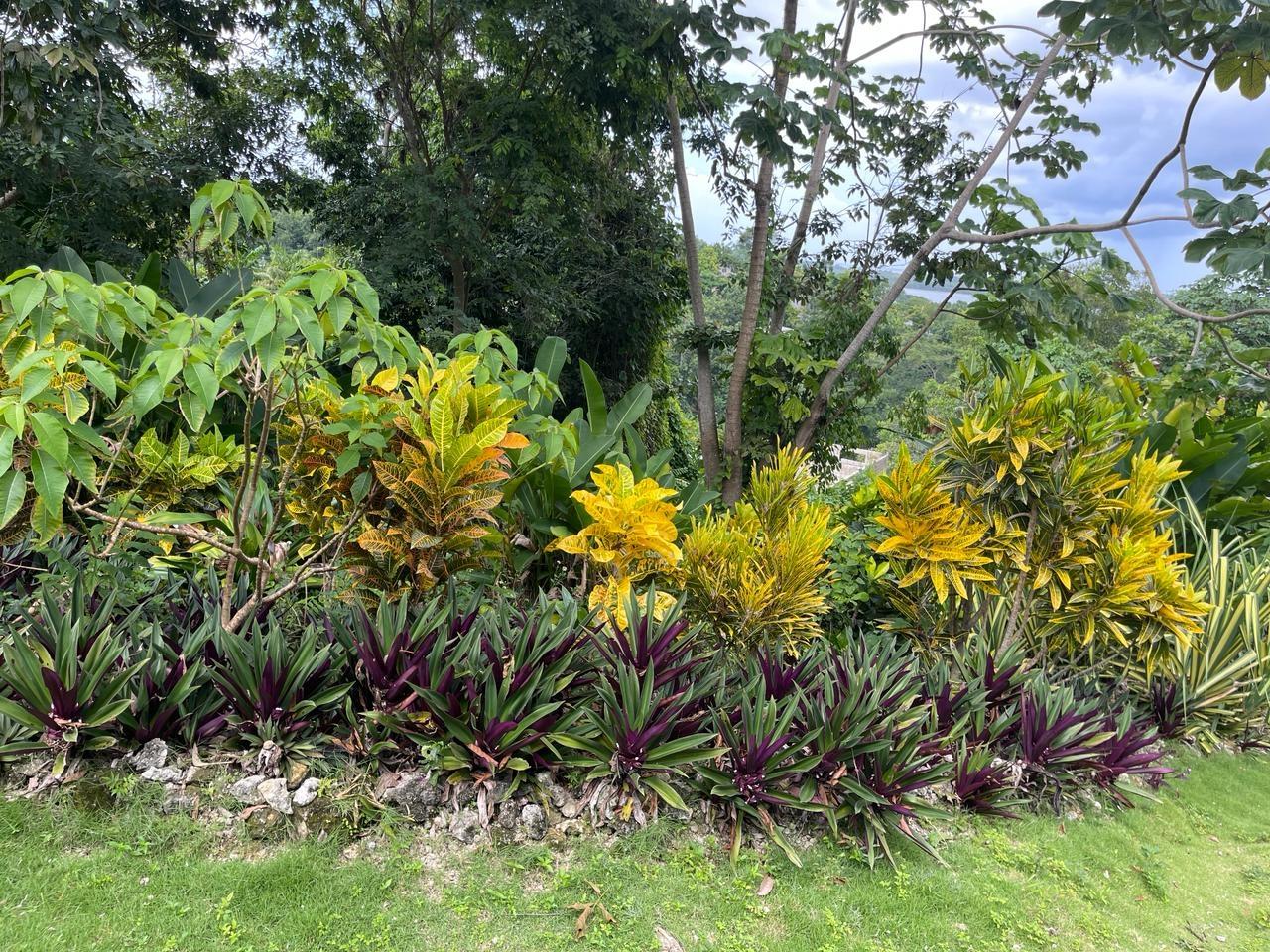 Sixth image of Coyaba Wharf Road in Orange Bay, Hanover, Jamaica - property is For Sale