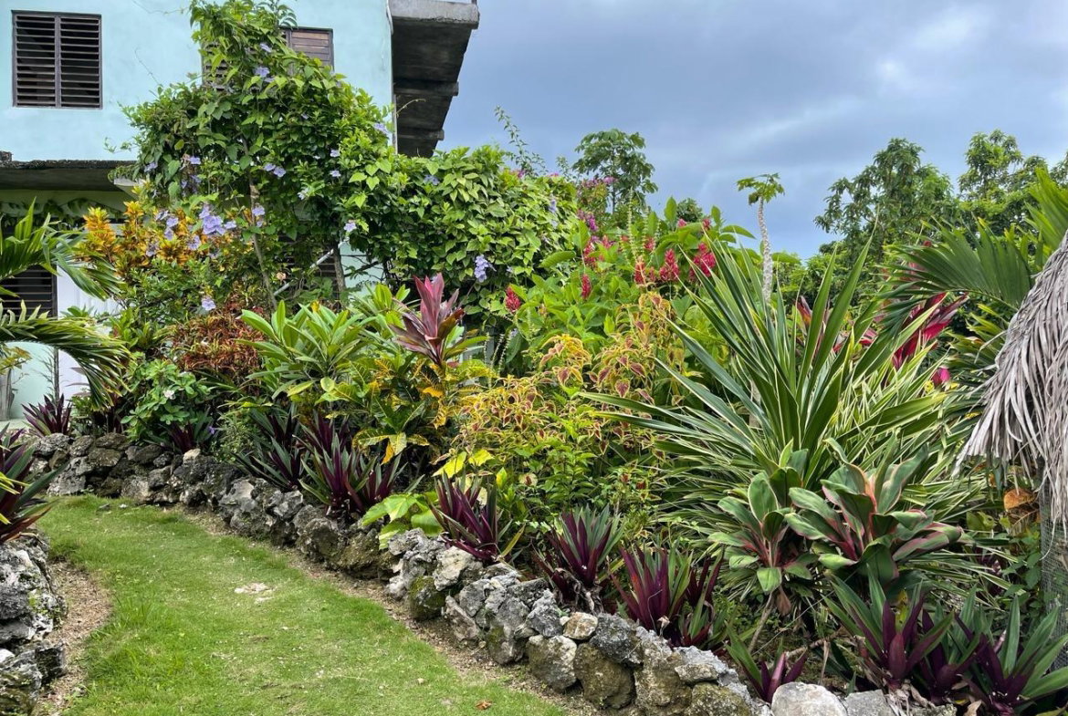 Seventh image of Coyaba Wharf Road in Orange Bay, Hanover, Jamaica - property is For Sale