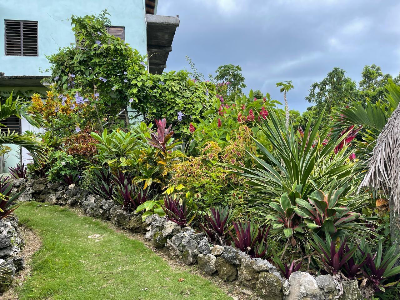 Seventh image of Coyaba Wharf Road in Orange Bay, Hanover, Jamaica - property is For Sale