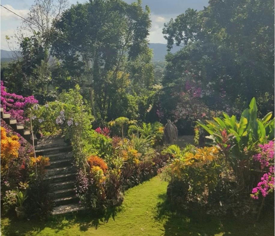 Ninth image of Coyaba Wharf Road in Orange Bay, Hanover, Jamaica - property is For Sale