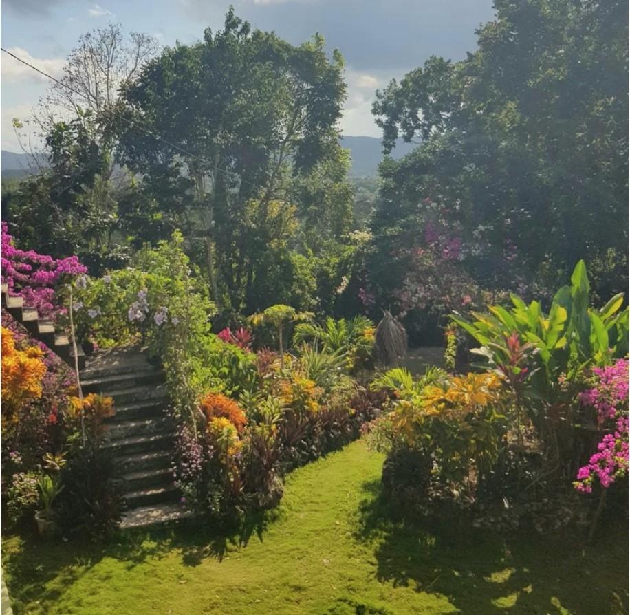 Ninth image of Coyaba Wharf Road in Orange Bay, Hanover, Jamaica - property is For Sale