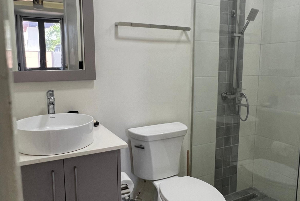 Third image of 20-27-29 Hopefield Avenue in Kingston 6, St. Andrew, Jamaica - property is For Rent