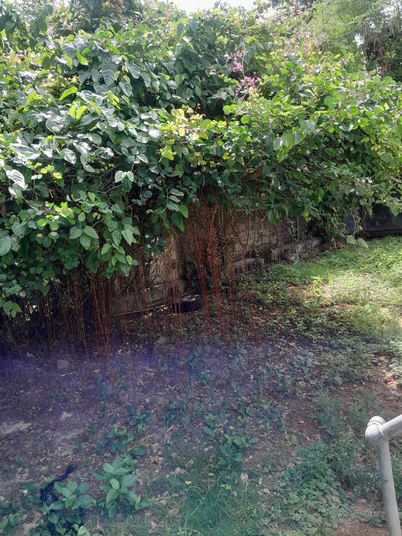 Cozy-2-Bedroom-House-for-Sale-in-Coloraine-Jamaica Tenth image of 4 Hibiscus Way, Coleraine, in Oracabessa, St. Mary, Jamaica - property is For Sale