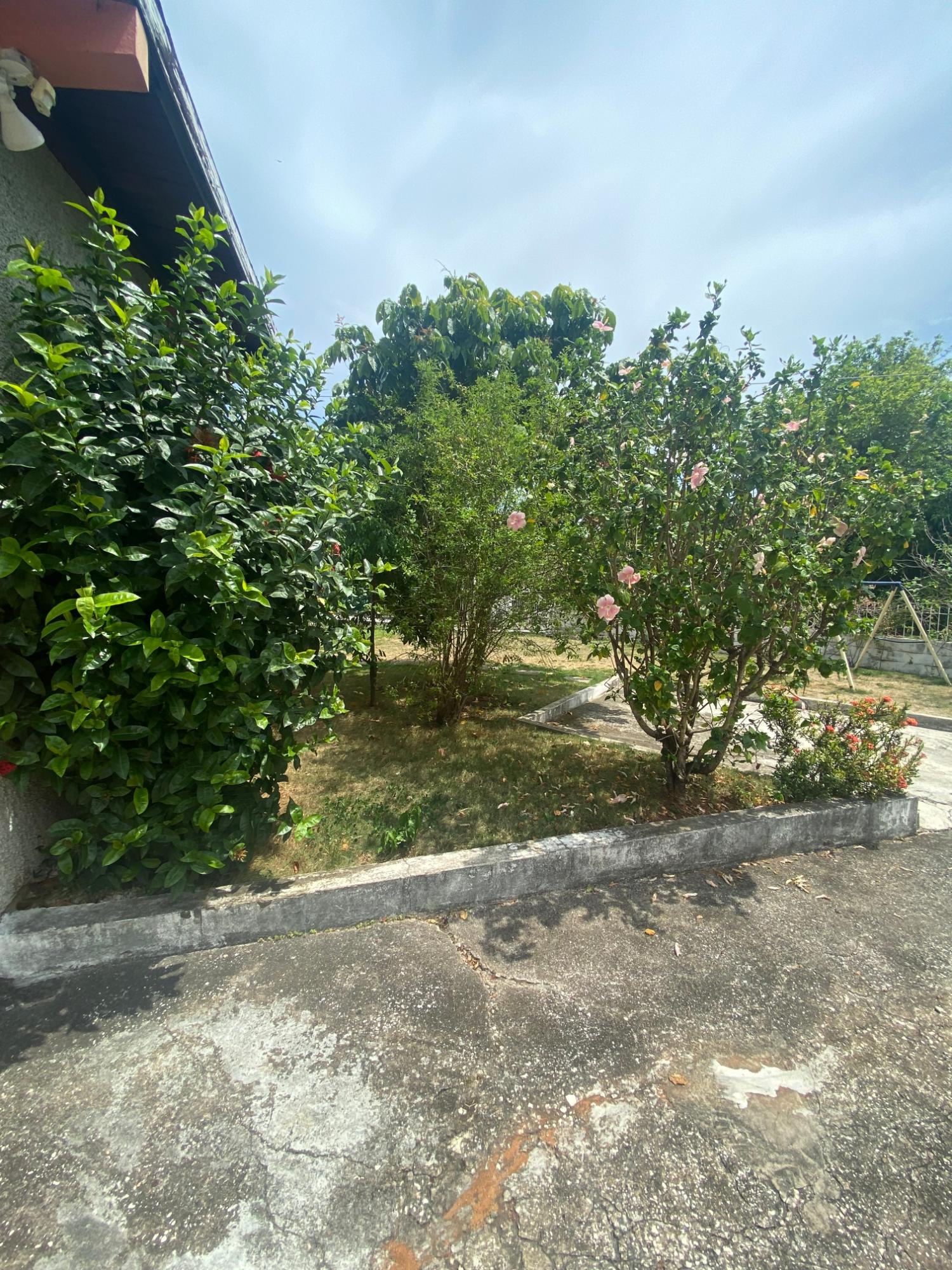 Seventh image of Haldon Close in Kingston 19, St. Andrew, Jamaica - property is For Rent