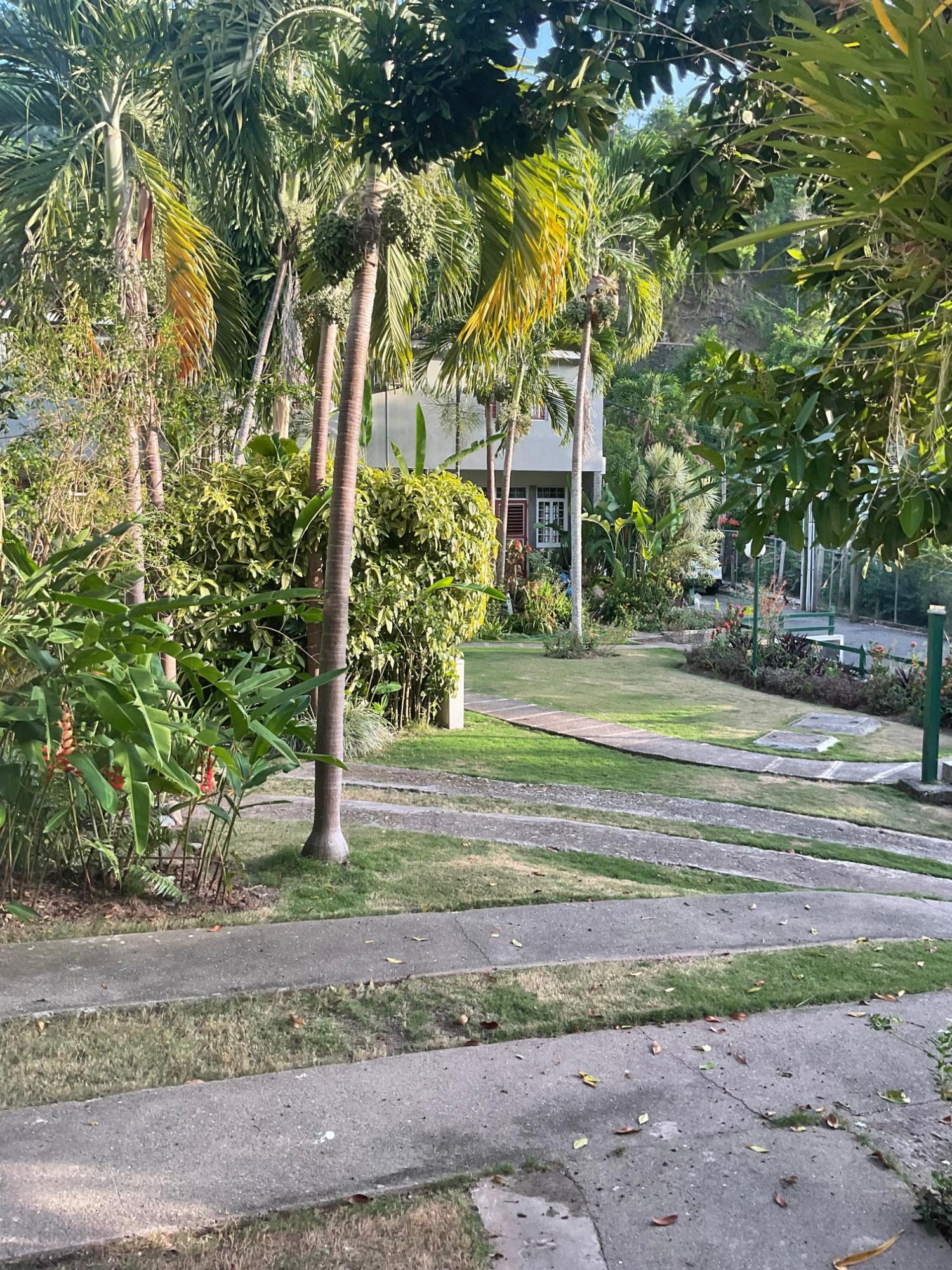 Twenty-First image of 5-4 Riverside Heights in Gordon Town, St. Andrew, Jamaica - property is For Rent