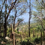 First image of Stewart Castle in Stewart Castle, Trelawny, Jamaica - property is For Sale