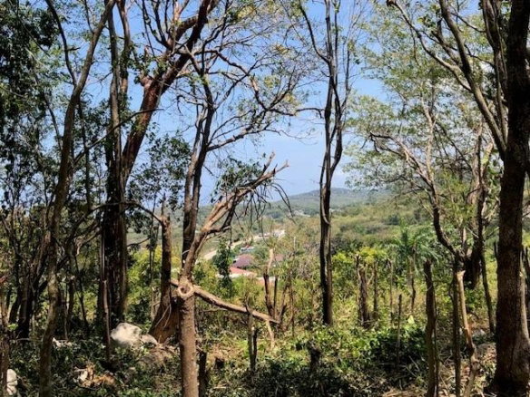 First image of Stewart Castle in Stewart Castle, Trelawny, Jamaica - property is For Sale