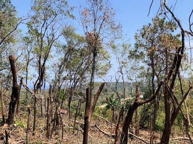 Ninth image of Stewart Castle in Stewart Castle, Trelawny, Jamaica - property is For Sale