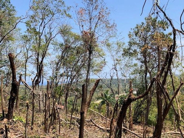 Ninth image of Stewart Castle in Stewart Castle, Trelawny, Jamaica - property is For Sale