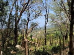 First image of Stewart Castle in Stewart Castle, Trelawny, Jamaica - property is For Sale