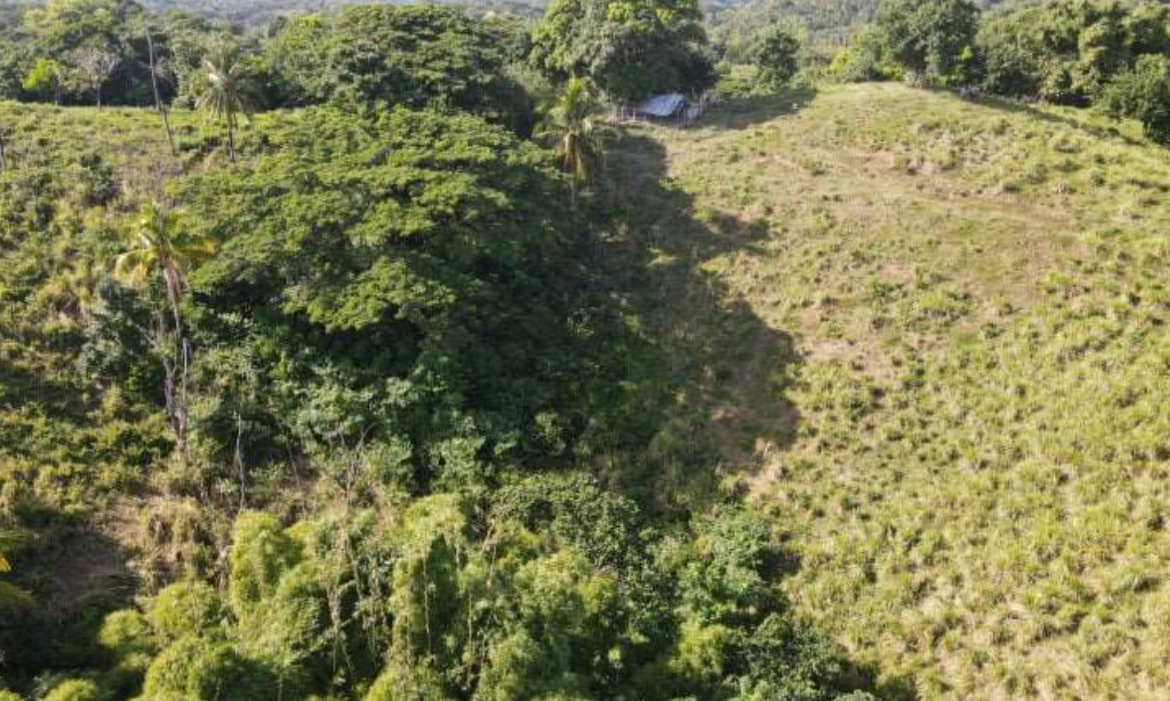 Second image of Burrowfield White Hall in Whitehall, St. Thomas, Jamaica - property is For Sale