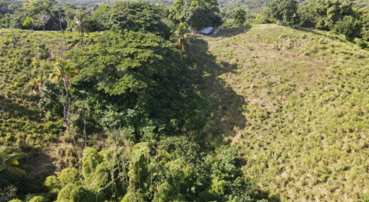 Second image of Burrowfield White Hall in Whitehall, St. Thomas, Jamaica - property is For Sale