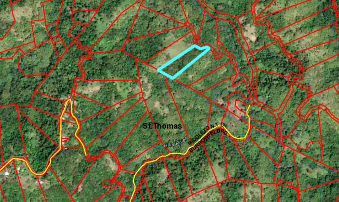 Fifth image of Burrowfield White Hall in Whitehall, St. Thomas, Jamaica - property is For Sale