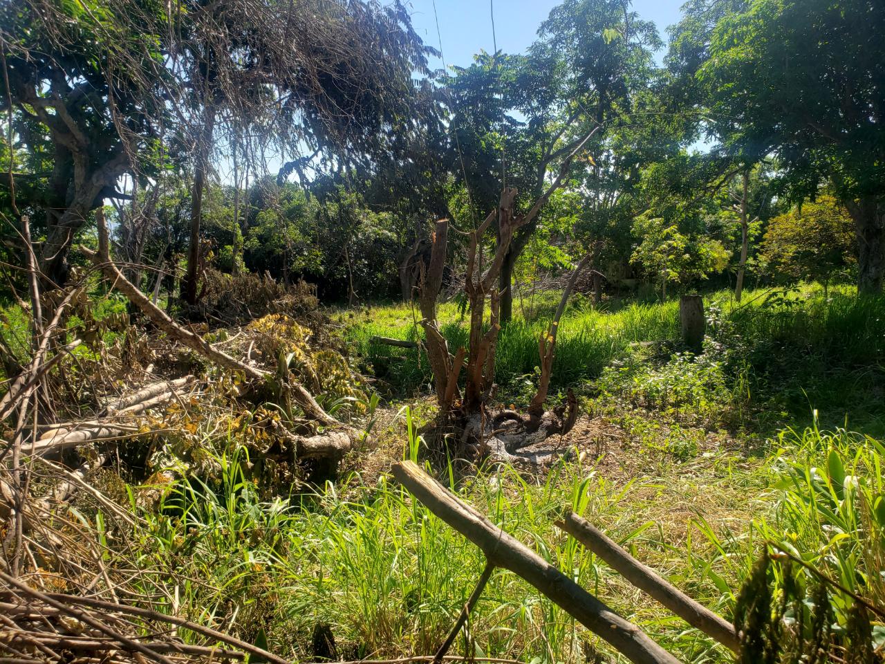 Third image of Marlie Hill in Cross Keys, Manchester, Jamaica - property is For Sale
