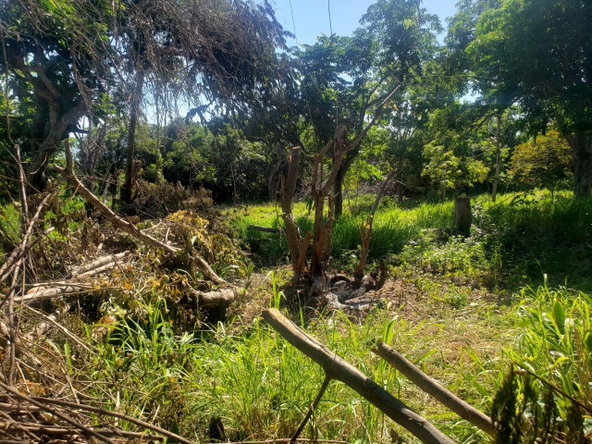 Third image of Marlie Hill in Cross Keys, Manchester, Jamaica - property is For Sale