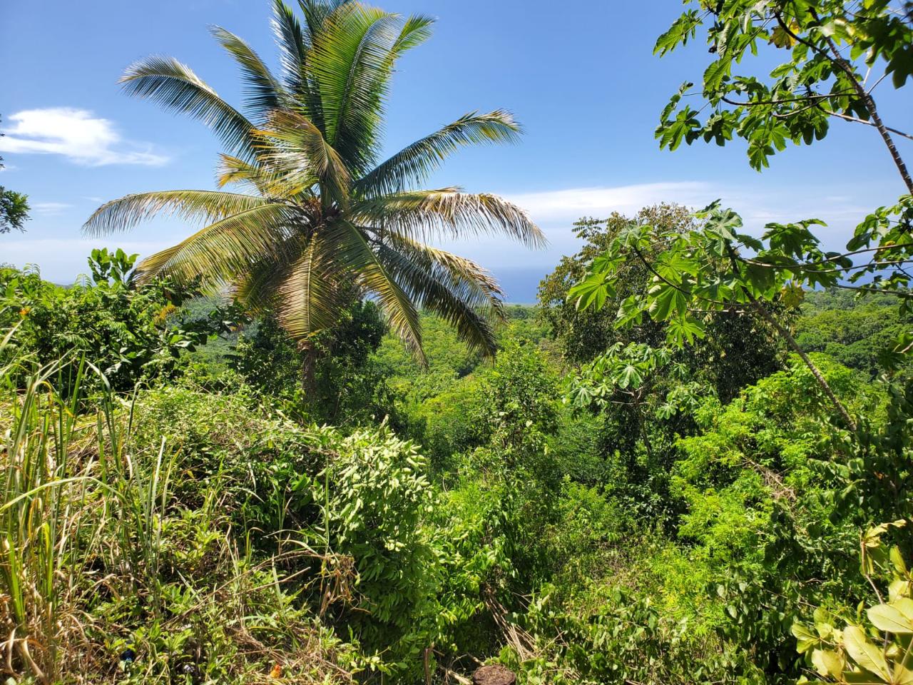 Second image of 15 Belle Air, Runaway Bay in Belle Air, St. Ann, Jamaica - property is For Sale