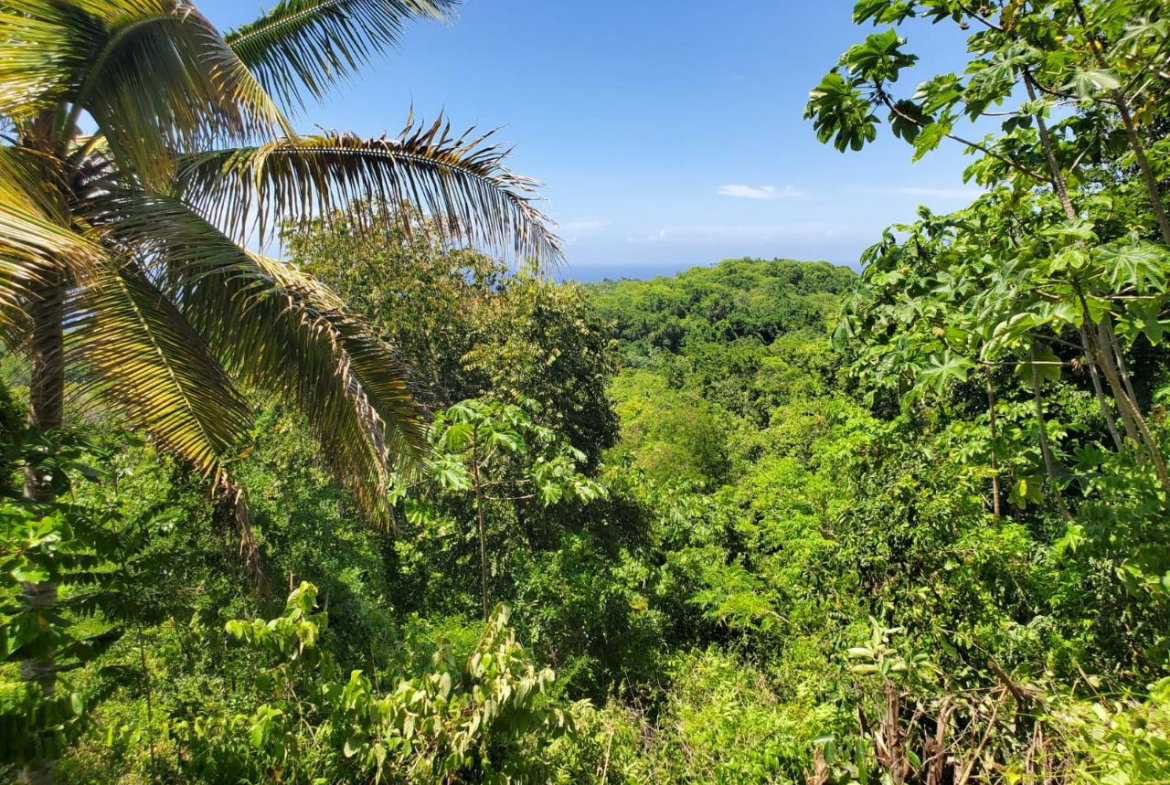 Fourth image of 15 Belle Air, Runaway Bay in Belle Air, St. Ann, Jamaica - property is For Sale