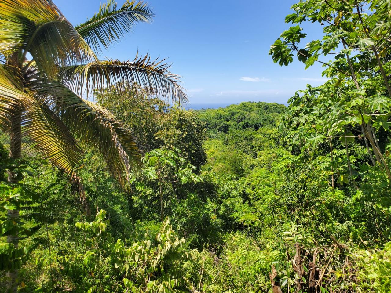 Fourth image of 15 Belle Air, Runaway Bay in Belle Air, St. Ann, Jamaica - property is For Sale