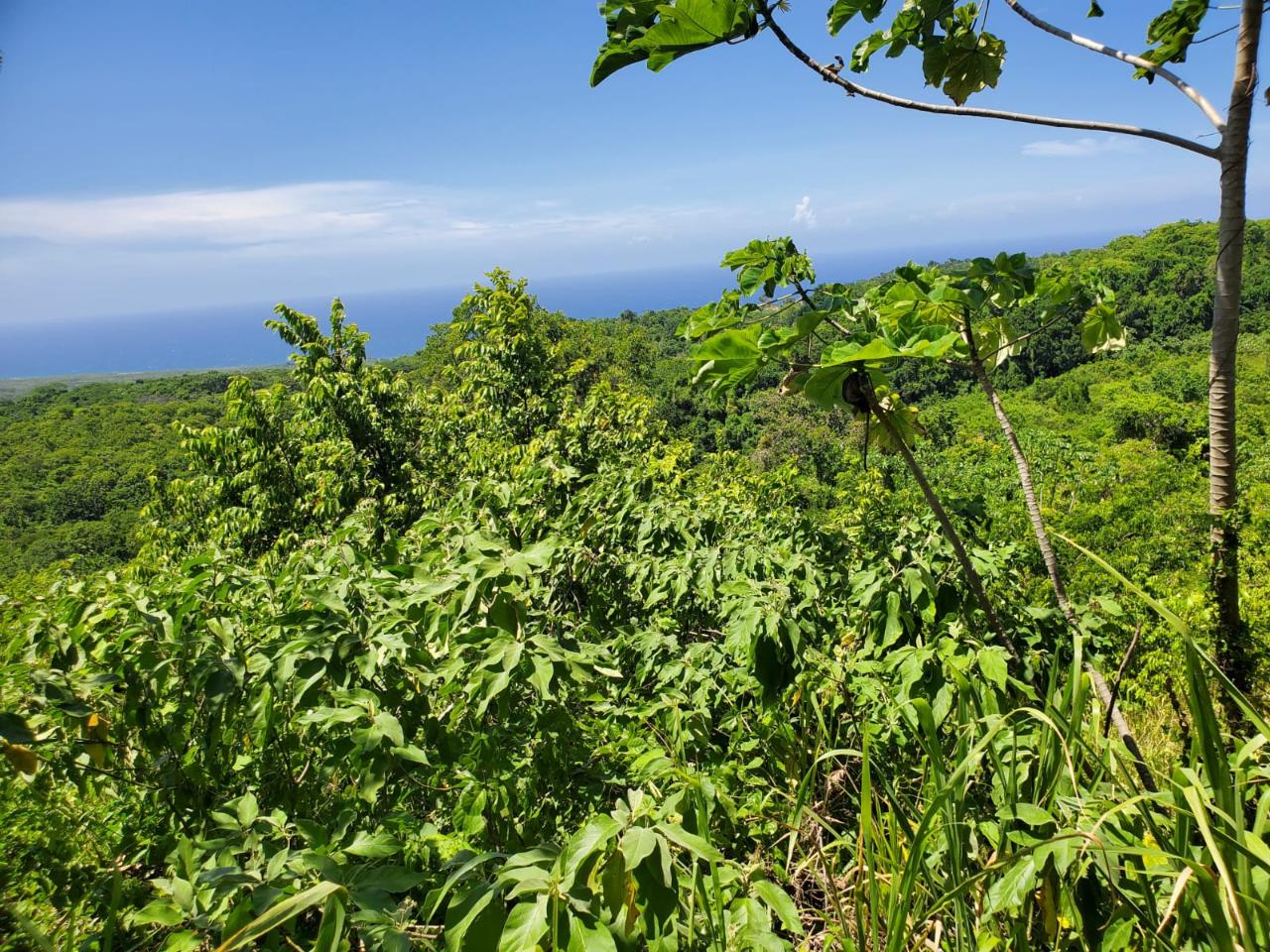 Fifth image of 15 Belle Air, Runaway Bay in Belle Air, St. Ann, Jamaica - property is For Sale