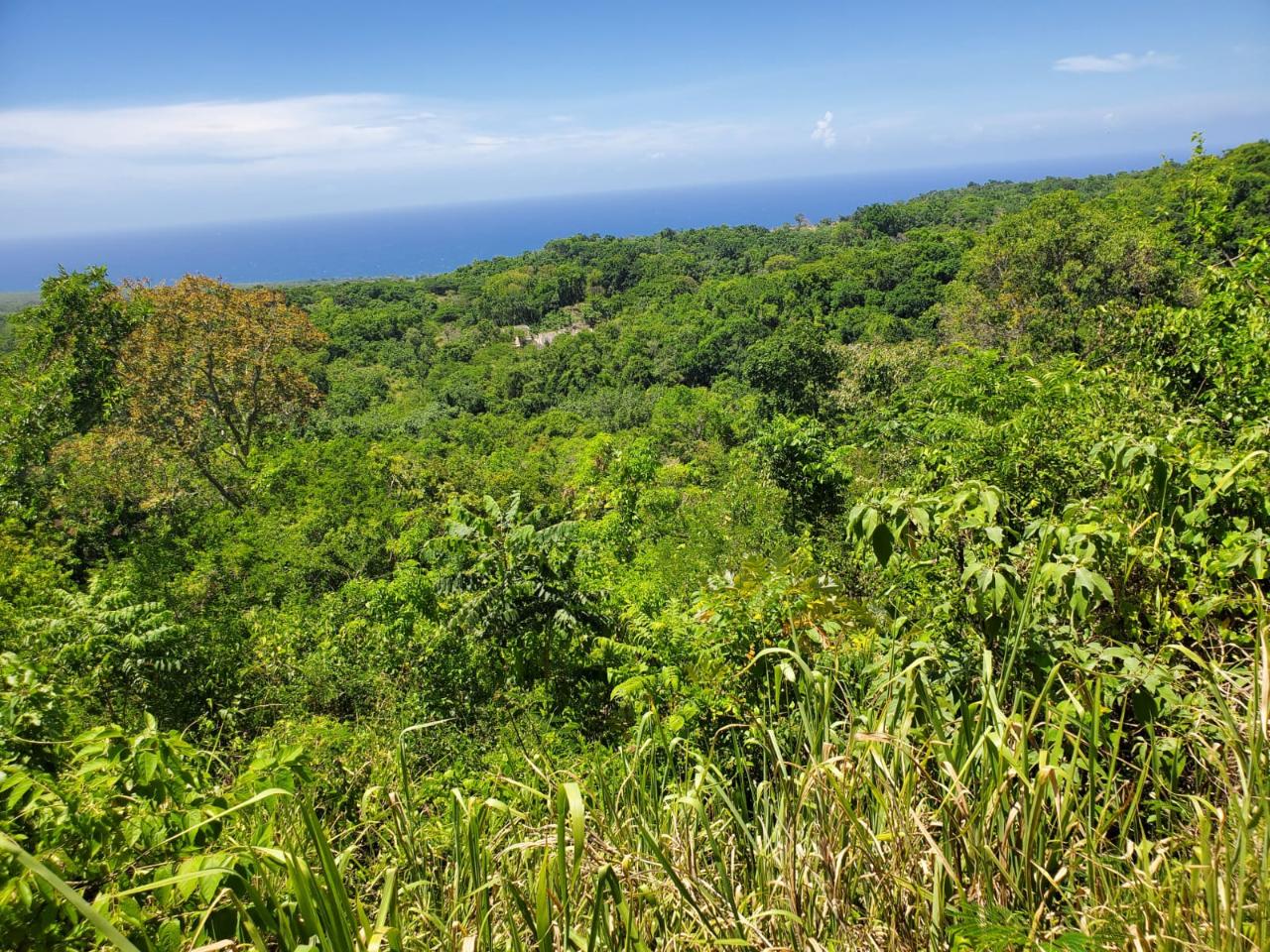 Sixth image of 15 Belle Air, Runaway Bay in Belle Air, St. Ann, Jamaica - property is For Sale