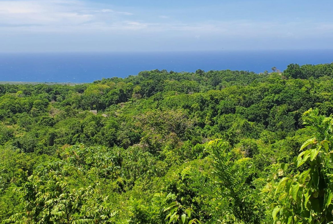 Seventh image of 15 Belle Air, Runaway Bay in Belle Air, St. Ann, Jamaica - property is For Sale