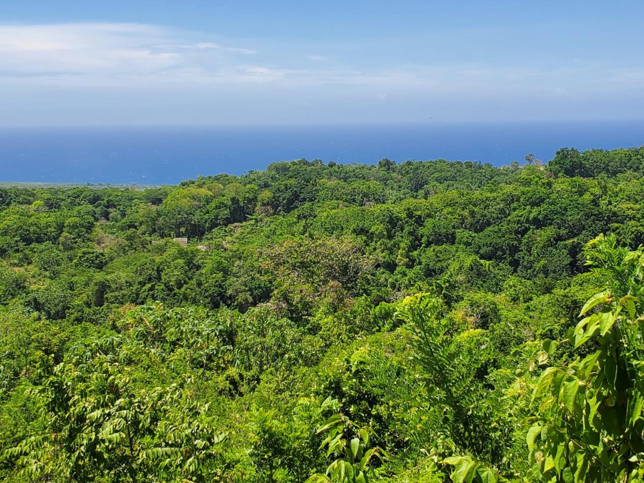Seventh image of 15 Belle Air, Runaway Bay in Belle Air, St. Ann, Jamaica - property is For Sale