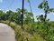First image of 15 Belle Air, Runaway Bay in Belle Air, St. Ann, Jamaica - property is For Sale