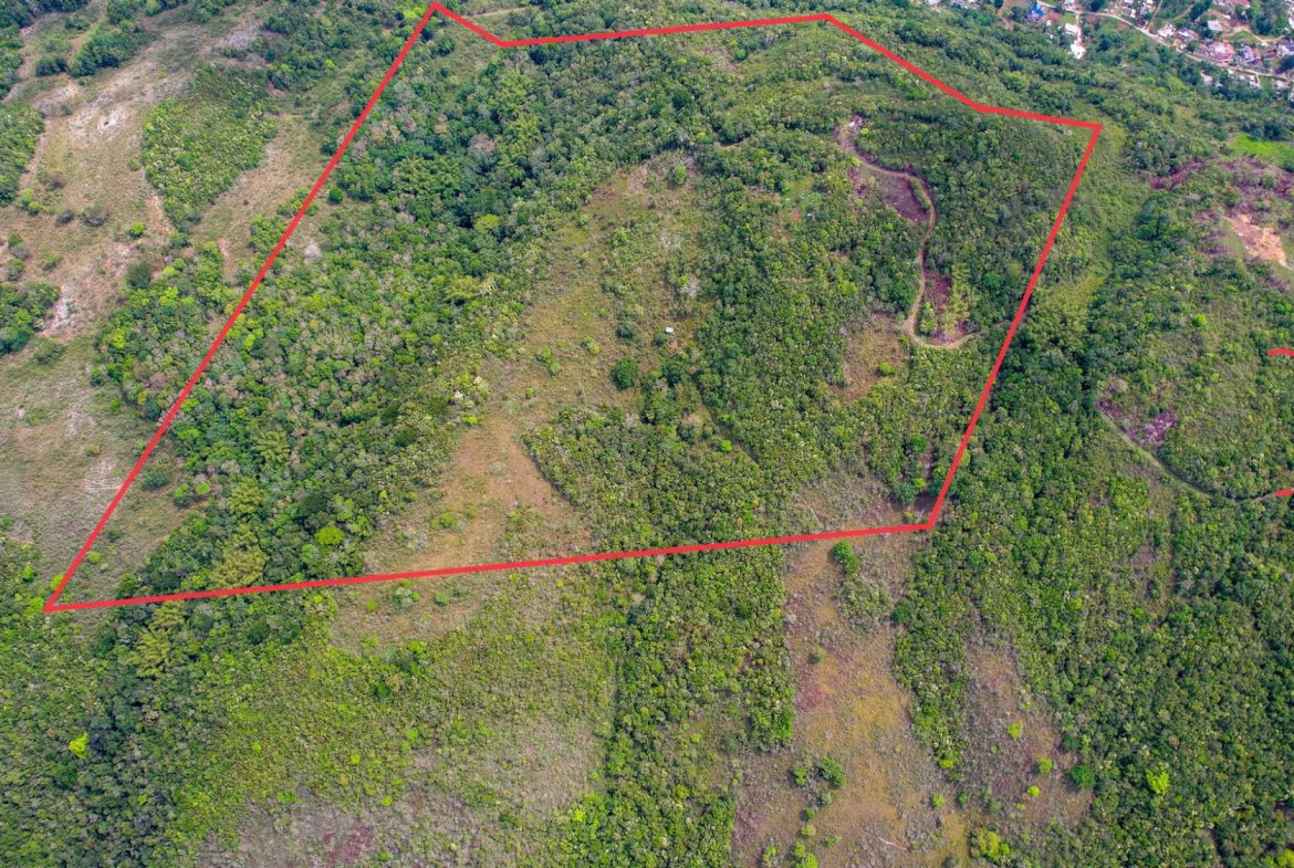 Second image of Montpelier, Sligoville in Sligoville, St. Catherine, Jamaica - property is For Sale