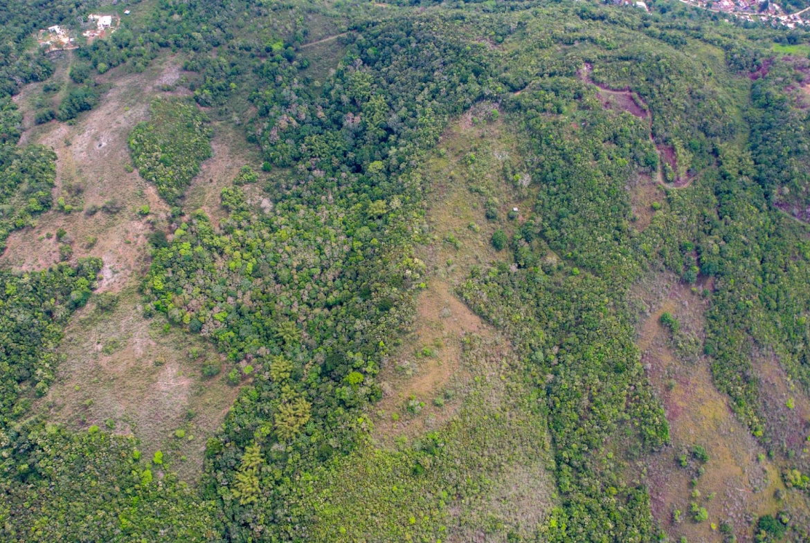 Fourth image of Montpelier, Sligoville in Sligoville, St. Catherine, Jamaica - property is For Sale
