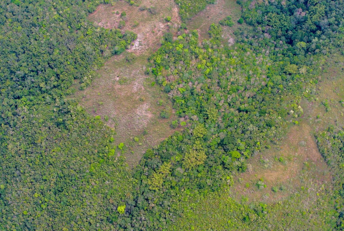 Fifth image of Montpelier, Sligoville in Sligoville, St. Catherine, Jamaica - property is For Sale