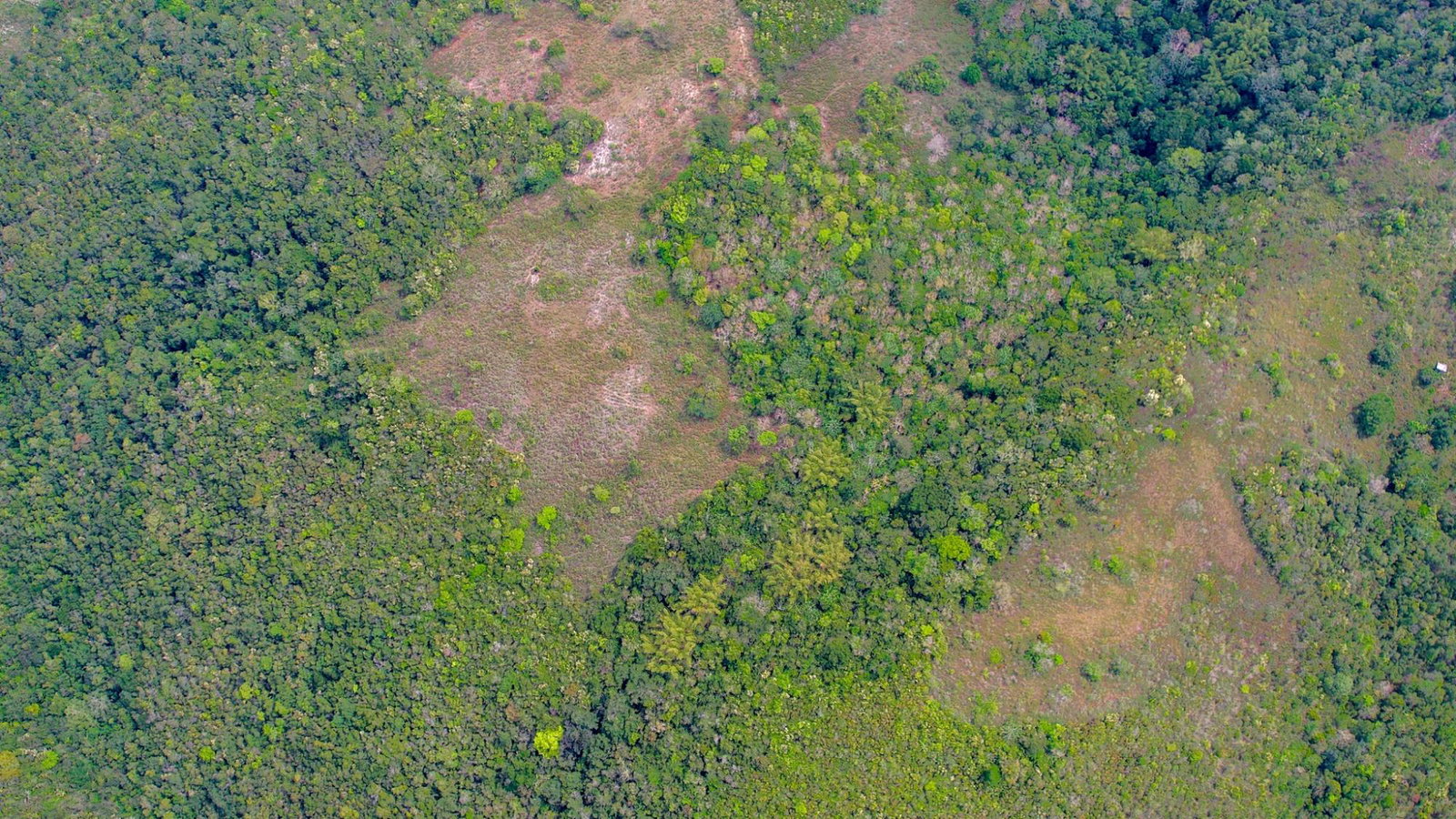 Fifth image of Montpelier, Sligoville in Sligoville, St. Catherine, Jamaica - property is For Sale
