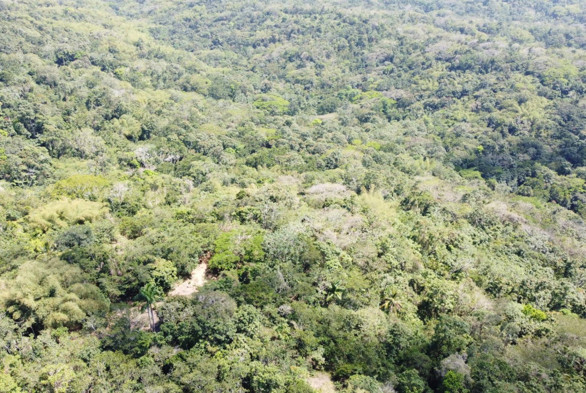 Second image of Lot 115/11 Heywood Halls St. Mary in Heywood Hall, St. Mary, Jamaica - property is For Sale