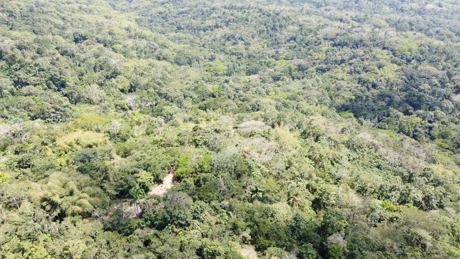 Second image of Lot 115/11 Heywood Halls St. Mary in Heywood Hall, St. Mary, Jamaica - property is For Sale