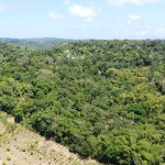 First image of Lot 115/11 Heywood Halls St. Mary in Heywood Hall, St. Mary, Jamaica - property is For Sale