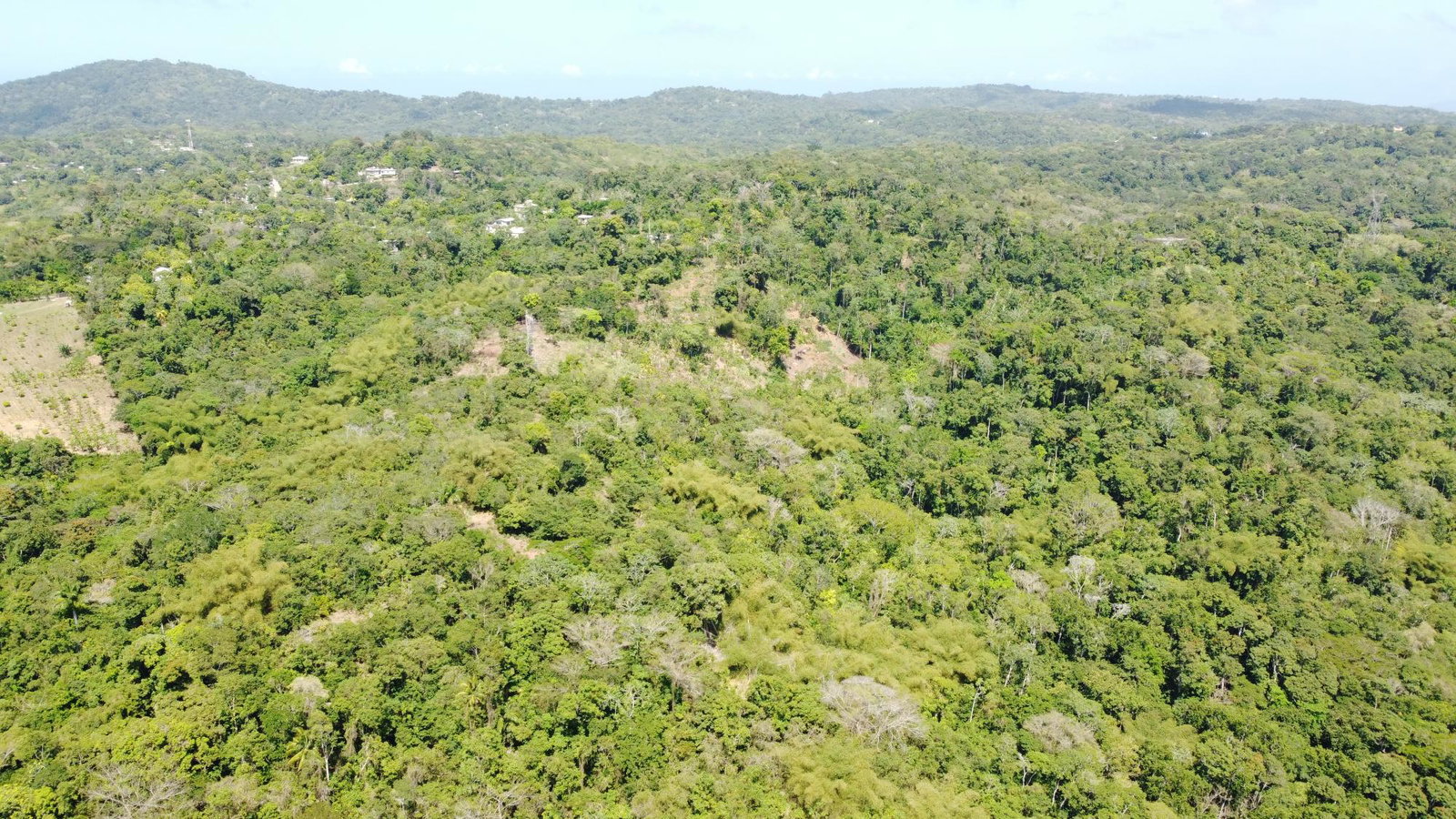 Fourth image of Lot 115/11 Heywood Halls St. Mary in Heywood Hall, St. Mary, Jamaica - property is For Sale