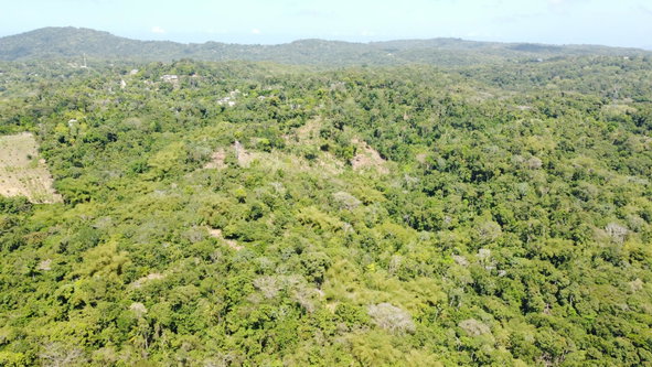 Fourth image of Lot 115/11 Heywood Halls St. Mary in Heywood Hall, St. Mary, Jamaica - property is For Sale