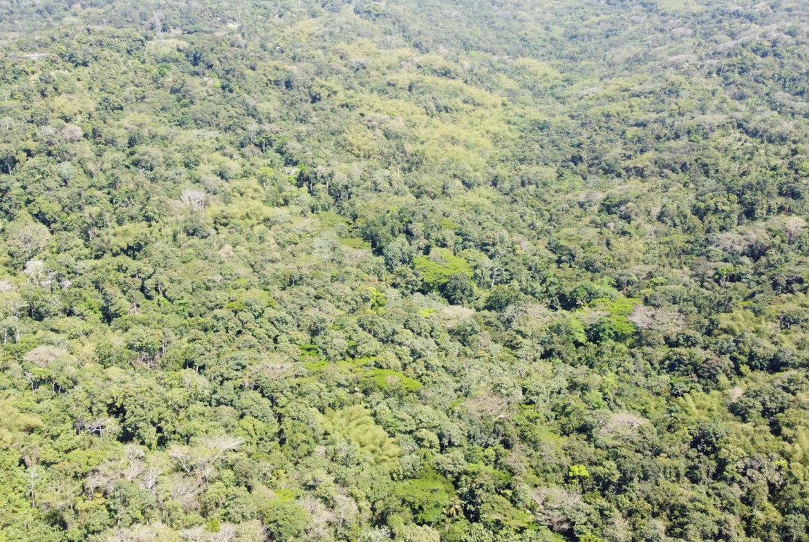 Fifth image of Lot 115/11 Heywood Halls St. Mary in Heywood Hall, St. Mary, Jamaica - property is For Sale