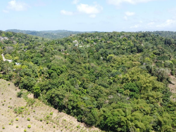 First image of Lot 115/11 Heywood Halls St. Mary in Heywood Hall, St. Mary, Jamaica - property is For Sale