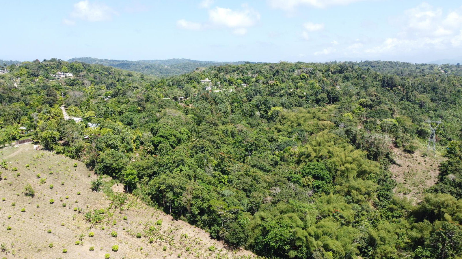 First image of Lot 115/11 Heywood Halls St. Mary in Heywood Hall, St. Mary, Jamaica - property is For Sale