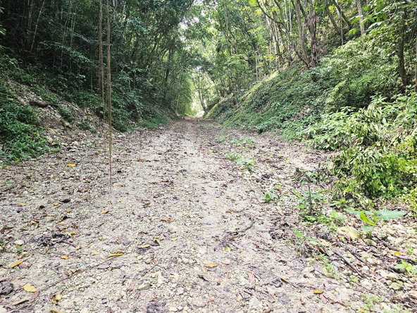 Second image of 0-0 Spring Garden in Montego Bay, St. James, Jamaica - property is For Sale