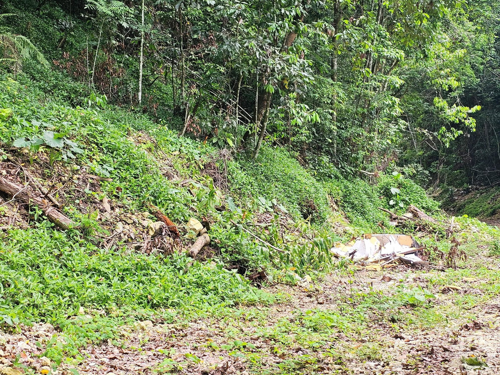 Eleventh image of 0-0 Spring Garden in Montego Bay, St. James, Jamaica - property is For Sale