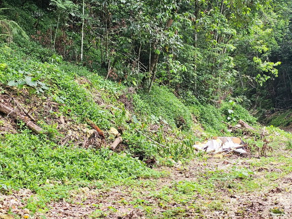 Eleventh image of 0-0 Spring Garden in Montego Bay, St. James, Jamaica - property is For Sale