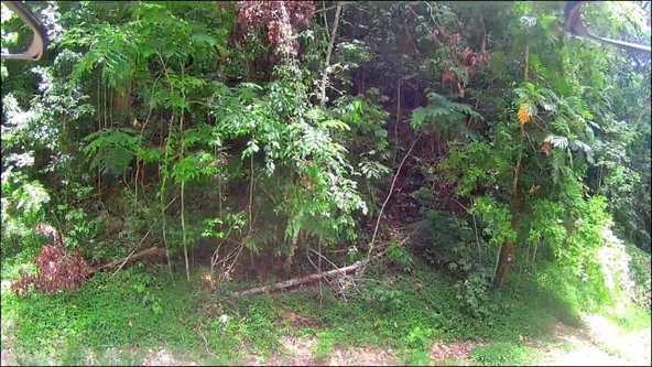 Thirteenth image of 0-0 Spring Garden in Montego Bay, St. James, Jamaica - property is For Sale