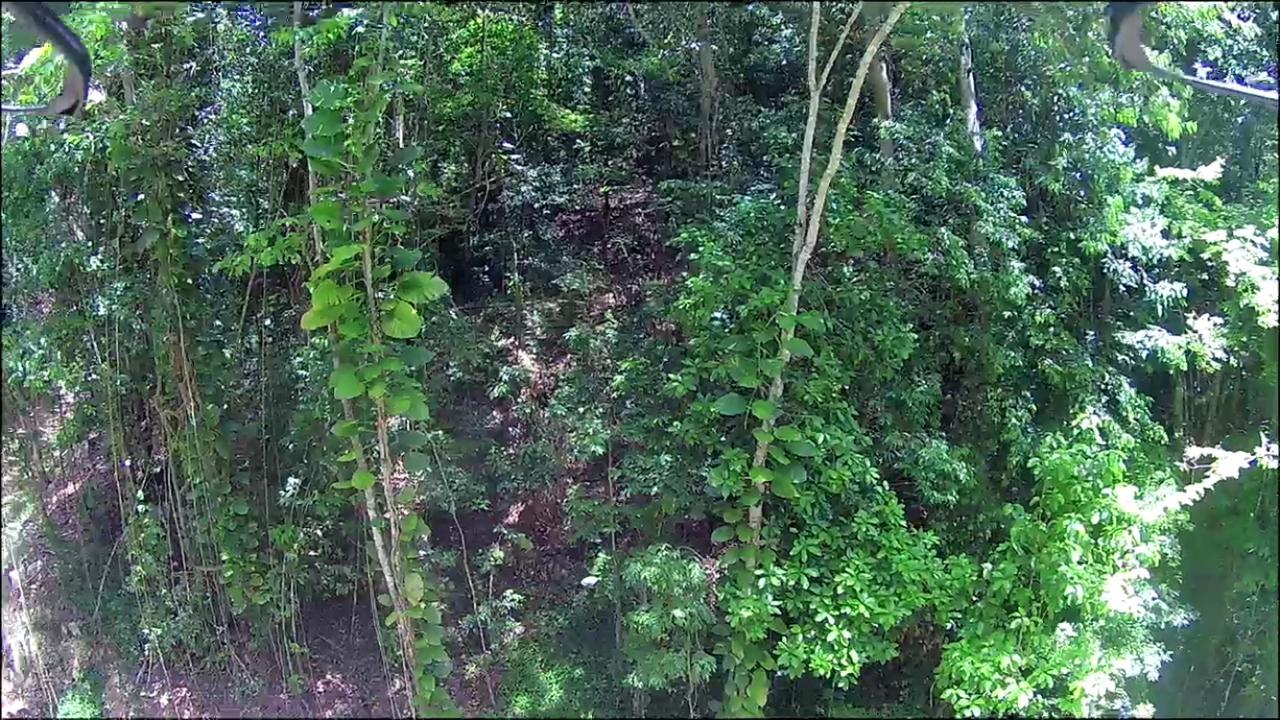 Nineteenth image of 0-0 Spring Garden in Montego Bay, St. James, Jamaica - property is For Sale