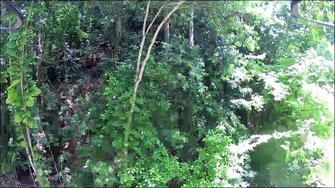 Twenty-Fourth image of 0-0 Spring Garden in Montego Bay, St. James, Jamaica - property is For Sale