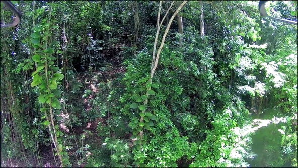 Twenty-Fifth image of 0-0 Spring Garden in Montego Bay, St. James, Jamaica - property is For Sale