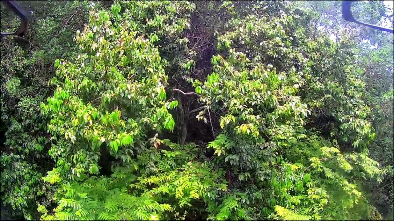 Twenty-Ninth image of 0-0 Spring Garden in Montego Bay, St. James, Jamaica - property is For Sale