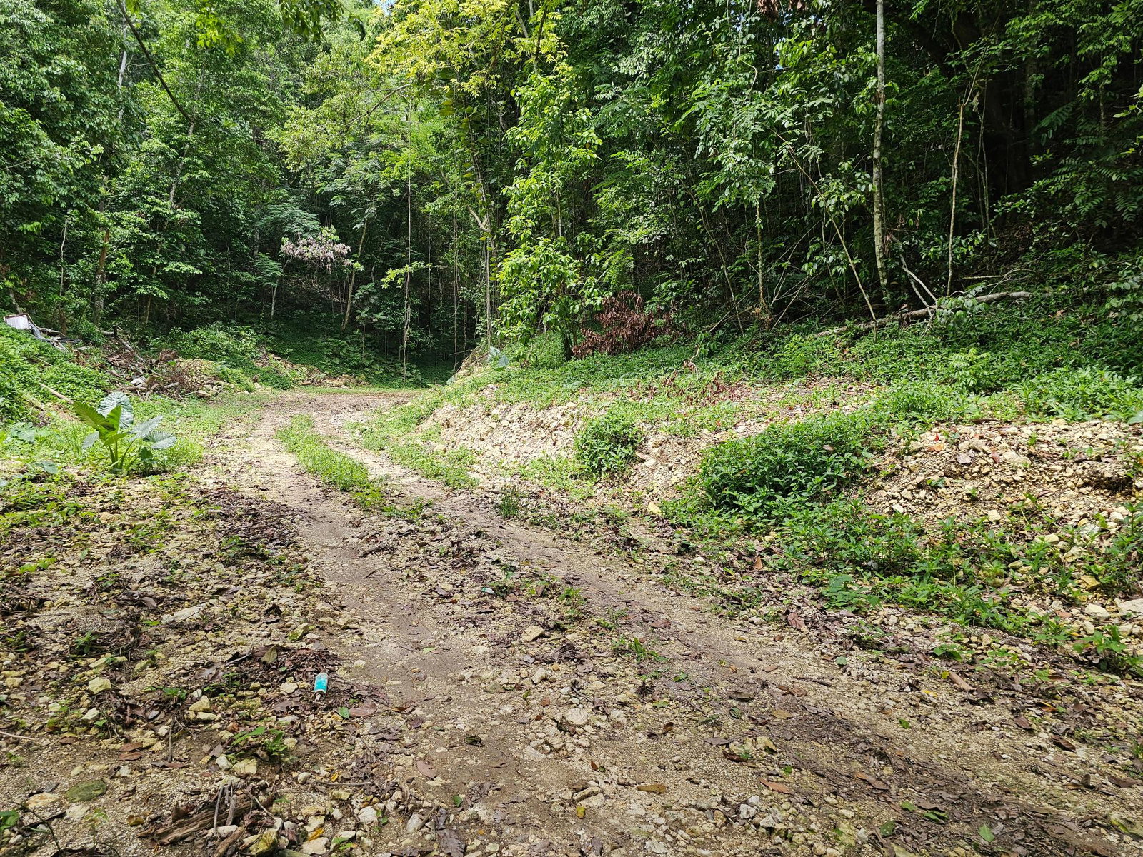 Fourth image of 0-0 Spring Garden in Montego Bay, St. James, Jamaica - property is For Sale