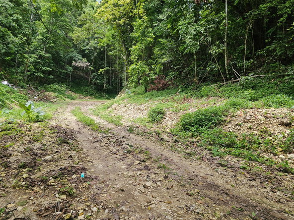 Fourth image of 0-0 Spring Garden in Montego Bay, St. James, Jamaica - property is For Sale