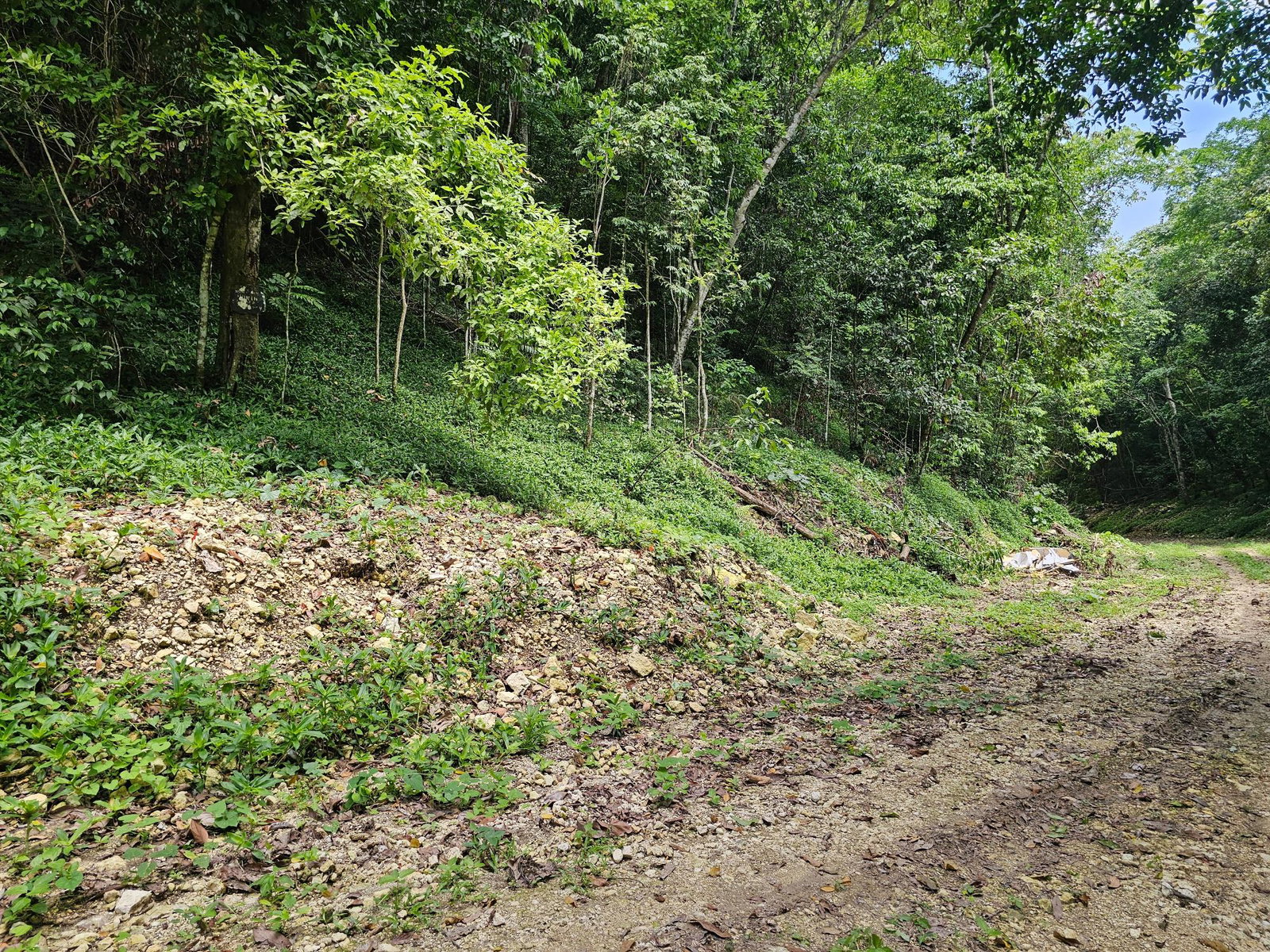 Fifth image of 0-0 Spring Garden in Montego Bay, St. James, Jamaica - property is For Sale